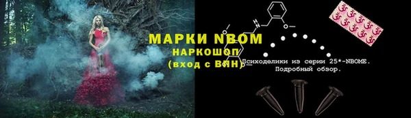 хмурый Нягань