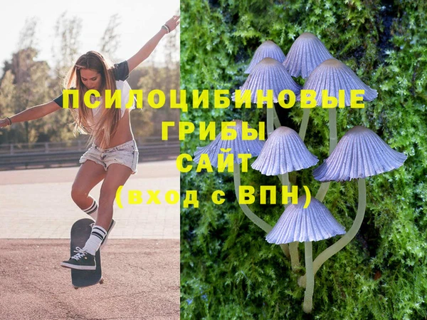 2c-b Няндома