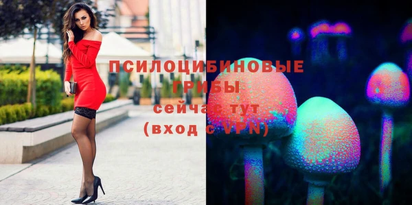 2c-b Няндома