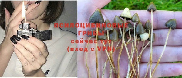 2c-b Няндома