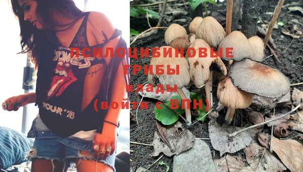 хмурый Нягань