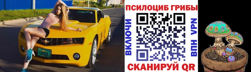 ссылка на мегу tor Красновишерск Галлюциногенные грибы мухоморы